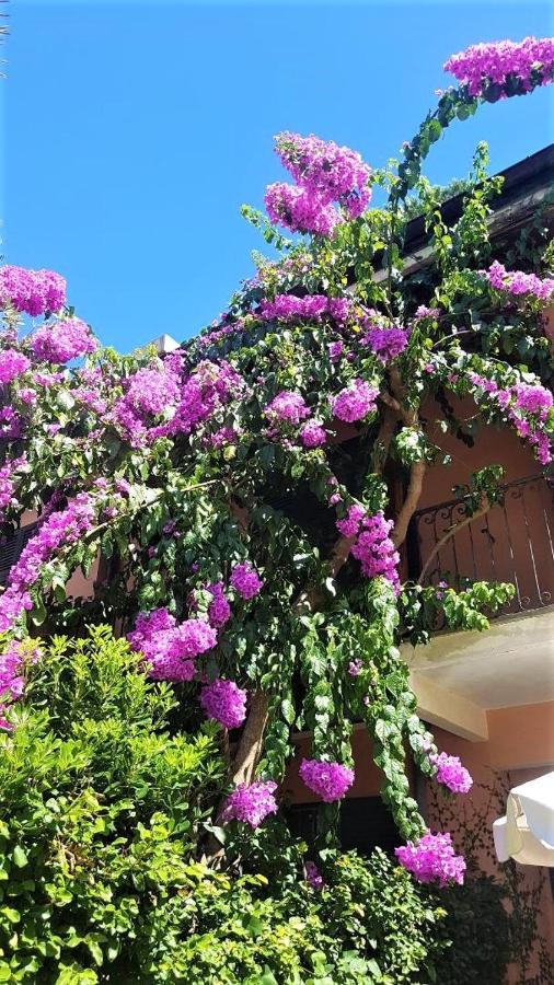 Lovely House Σάντα Μαργκερίτα Λιγκούρε Εξωτερικό φωτογραφία